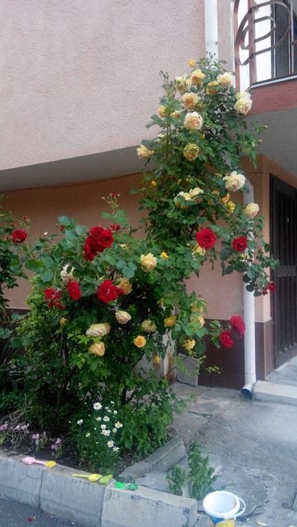 Lazur Hotel Ράβντα Εξωτερικό φωτογραφία